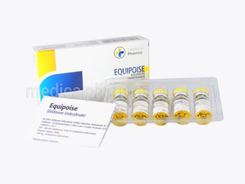 EQUIPOISE
